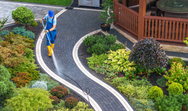 Best Local Pressure Washing Services  in Yoakum, TX